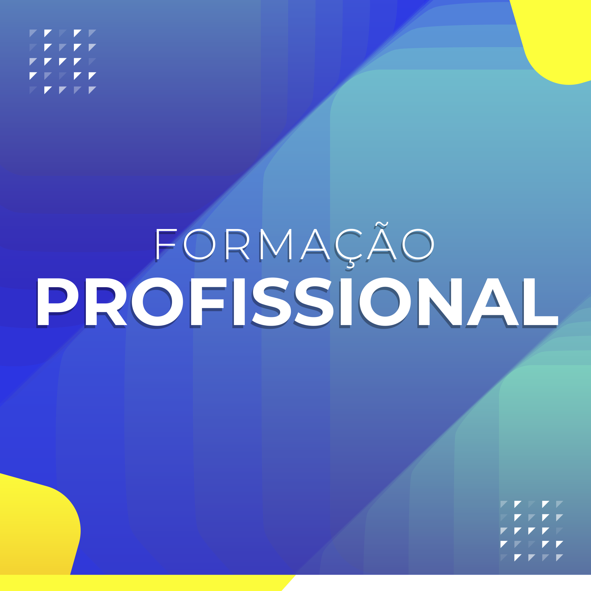 Formação Profissional 