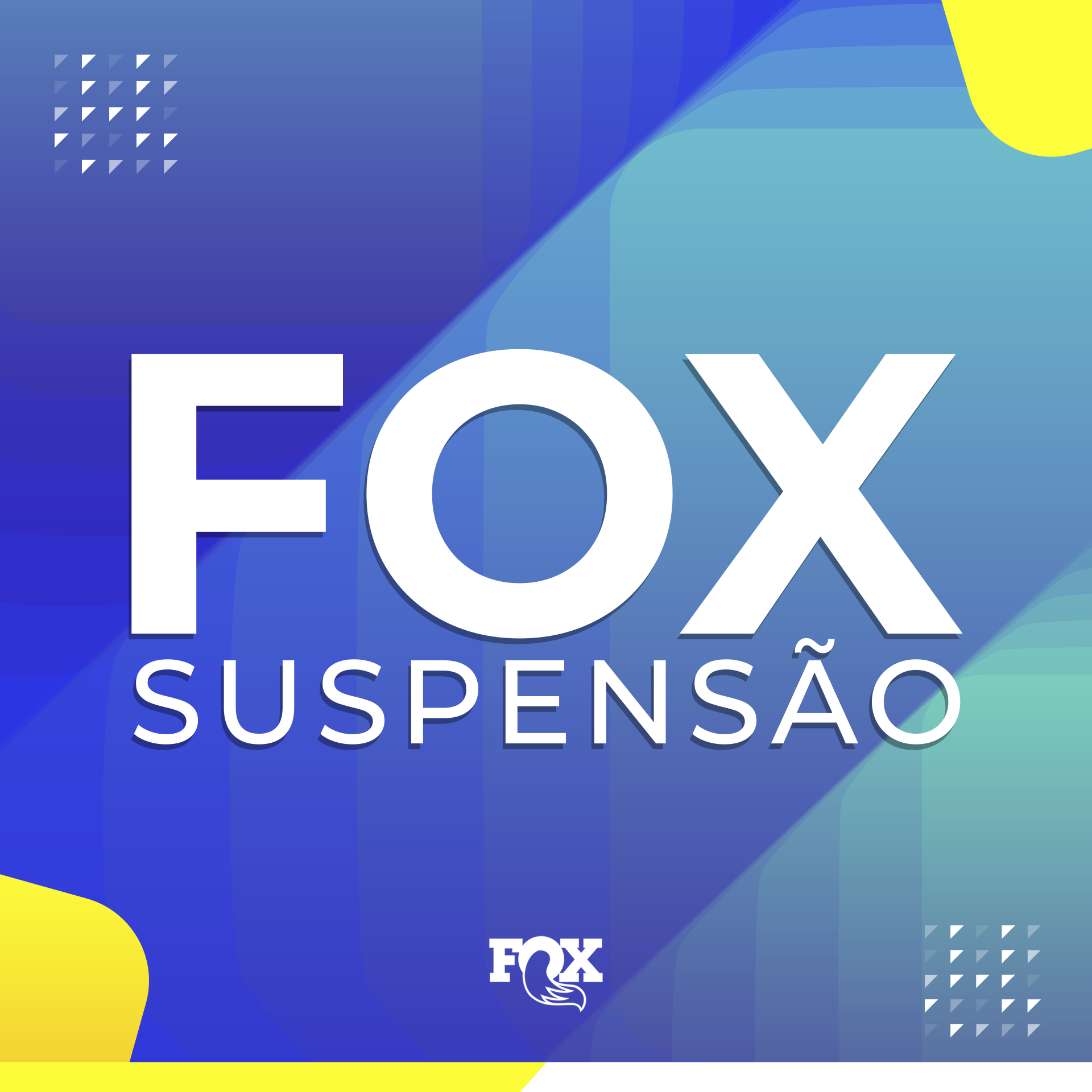 Suspensão Fox 